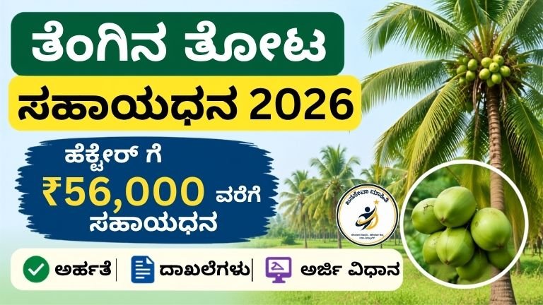 Coconut Plantation Subsidy 2026